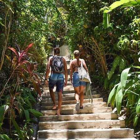 Funky Monkey Lodge Playa Santa Teresa (Puntarenas) Exterior foto