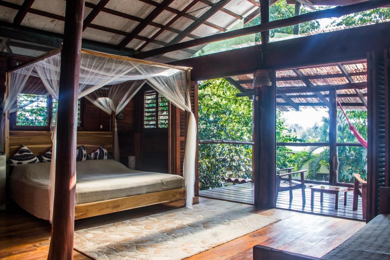 Funky Monkey Lodge Playa Santa Teresa (Puntarenas) Exterior foto