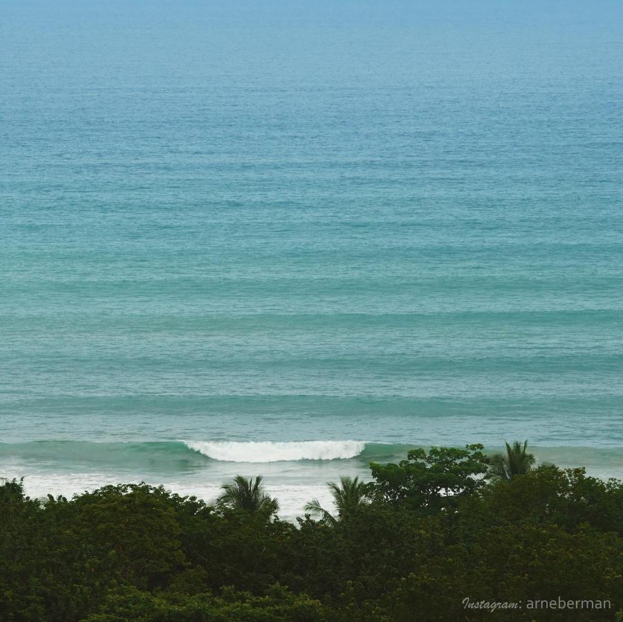 Funky Monkey Lodge Playa Santa Teresa (Puntarenas) Exterior foto