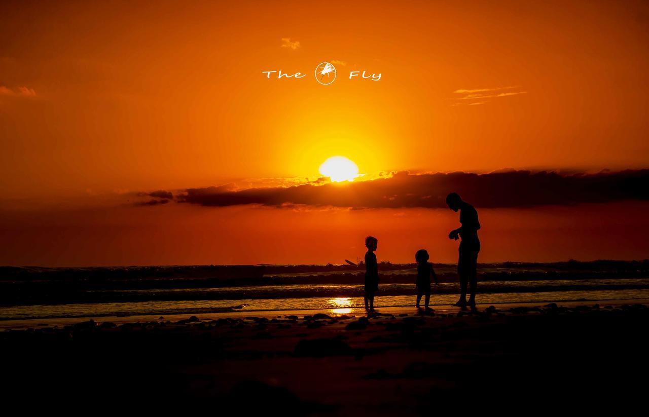 Funky Monkey Lodge Playa Santa Teresa (Puntarenas) Exterior foto