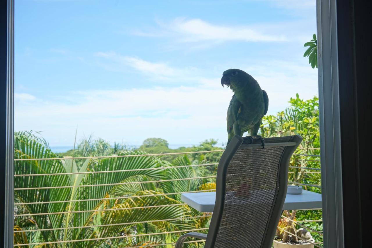 Funky Monkey Lodge Playa Santa Teresa (Puntarenas) Exterior foto
