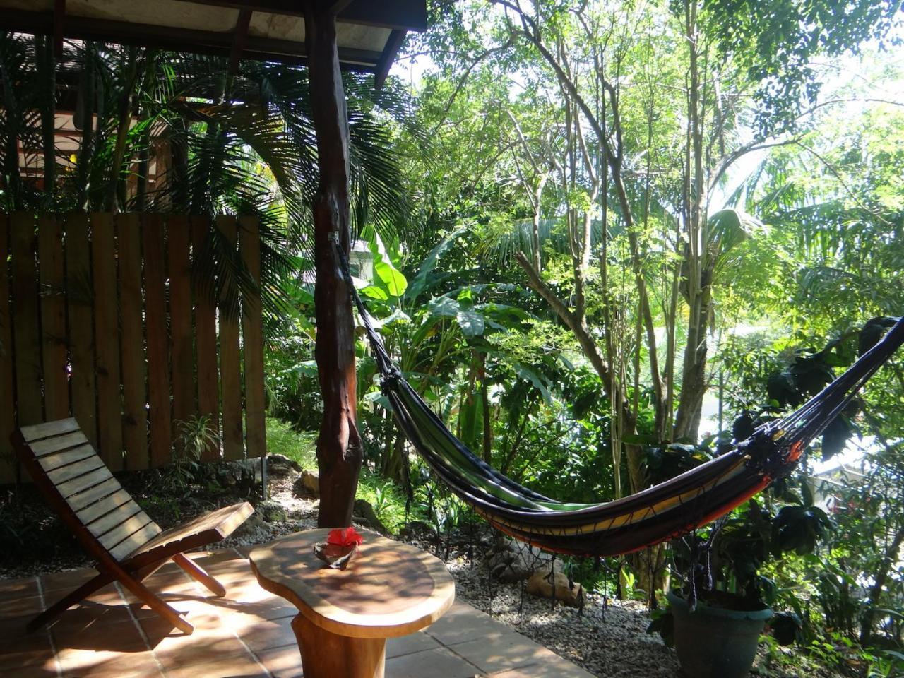 Funky Monkey Lodge Playa Santa Teresa (Puntarenas) Exterior foto